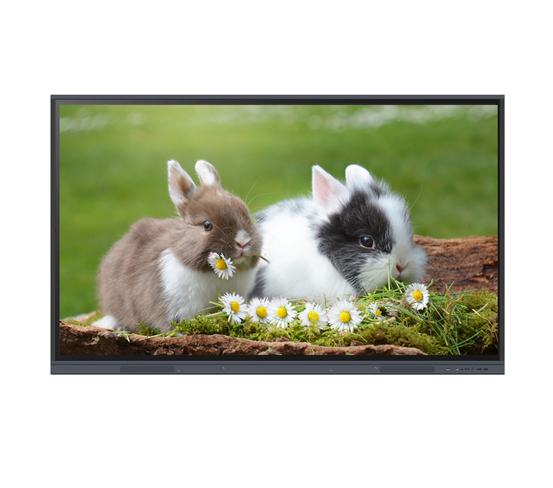Boxlight ProColor 554U